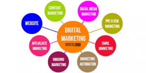 Digital Marketing Agency in Waterloo