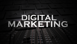 Digital Marketing Agency in Delhi